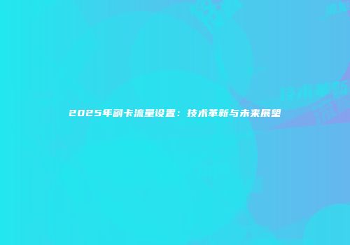 2025年副卡流量设置：技术革新与未来展望