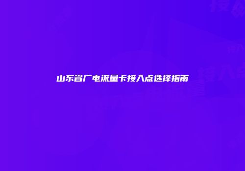 山东省广电流量卡接入点选择指南