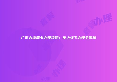 广东大流量卡办理攻略：线上线下办理全解析
