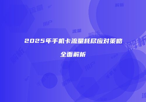 2025年手机卡流量耗尽应对策略全面解析