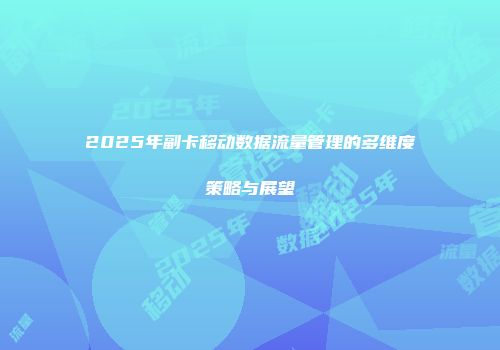 2025年副卡移动数据流量管理的多维度策略与展望