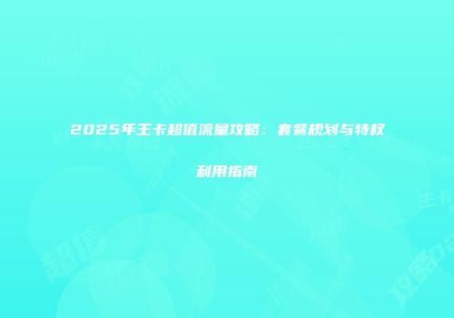 2025年王卡超值流量攻略：套餐规划与特权利用指南