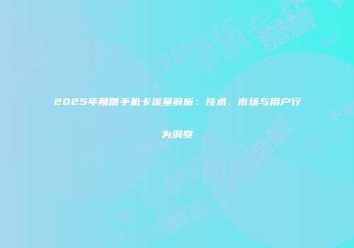 2025年醋精手机卡流量解析：技术、市场与用户行为洞察