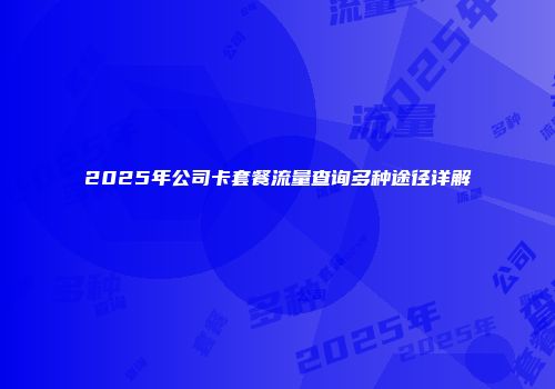 2025年公司卡套餐流量查询多种途径详解