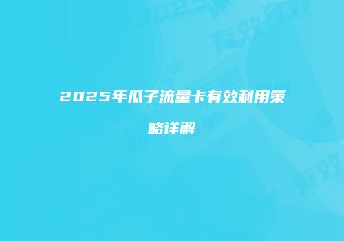 2025年瓜子流量卡有效利用策略详解