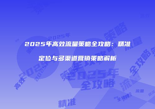 2025年高效流量策略全攻略：精准定位与多渠道营销策略解析