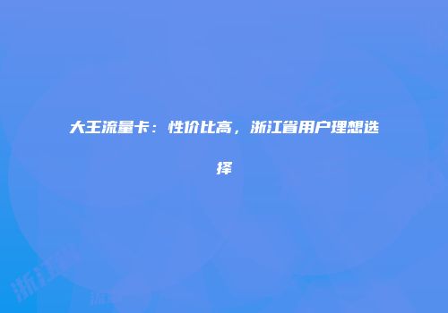 大王流量卡：性价比高，浙江省用户理想选择