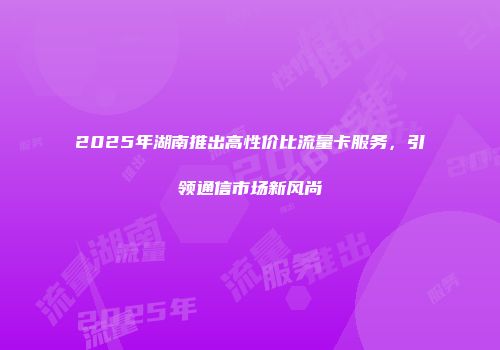 2025年湖南推出高性价比流量卡服务，引领通信市场新风尚