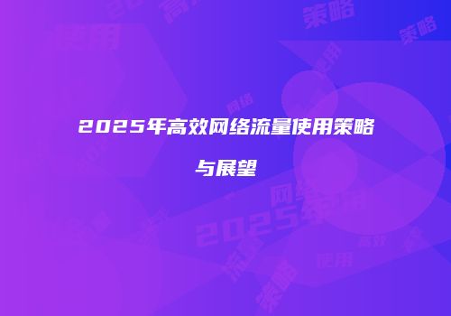 2025年高效网络流量使用策略与展望