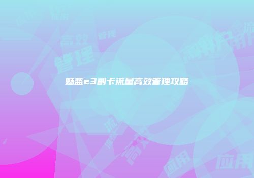 魅蓝e3副卡流量高效管理攻略