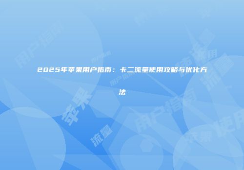 2025年苹果用户指南：卡二流量使用攻略与优化方法