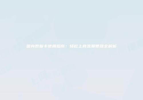 国内数据卡使用指南：轻松上网流量管理全解析