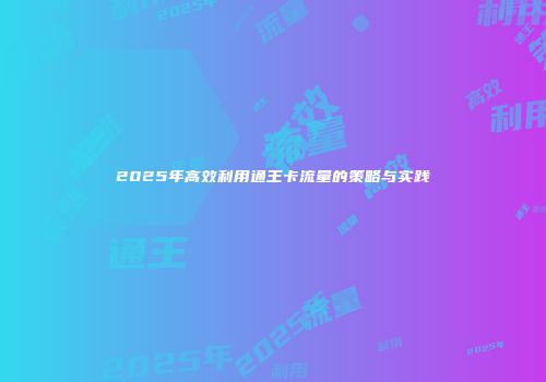 2025年高效利用通王卡流量的策略与实践