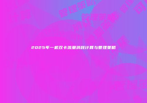 2025年一机双卡流量消耗计算与管理策略
