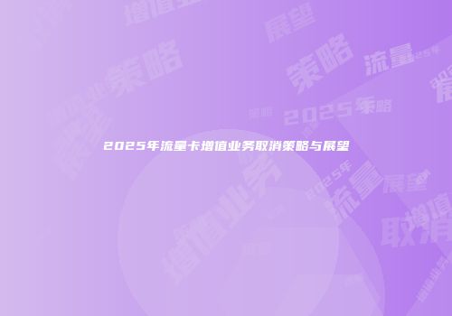 2025年流量卡增值业务取消策略与展望