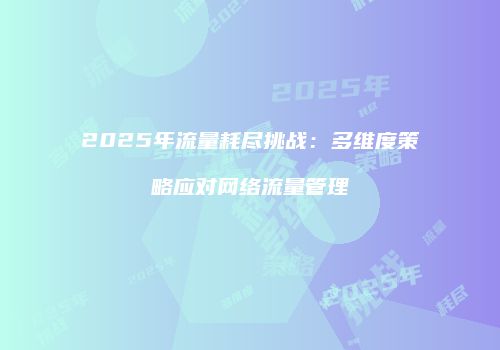 2025年流量耗尽挑战:多维度策略应对网络流量管理