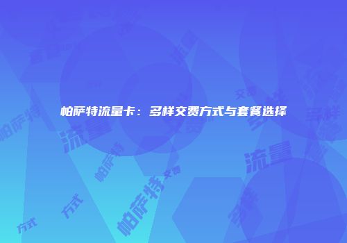 帕萨特流量卡：多样交费方式与套餐选择