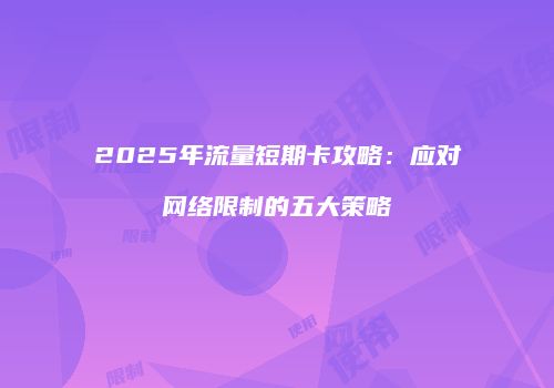 2025年流量短期卡攻略：应对网络限制的五大策略