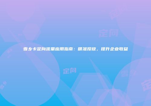 雪乡卡定向流量应用指南:精准投放,提升企业收益