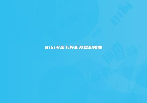 Bibi流量卡停机及复机指南