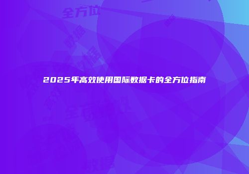 2025年高效使用国际数据卡的全方位指南
