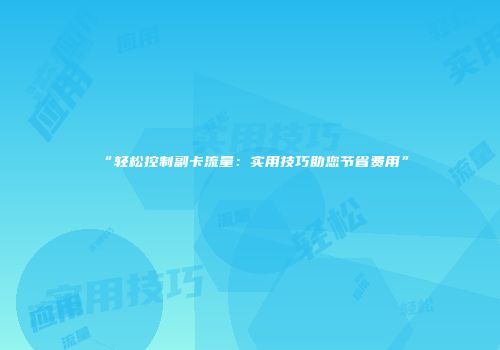 “轻松控制副卡流量：实用技巧助您节省费用”