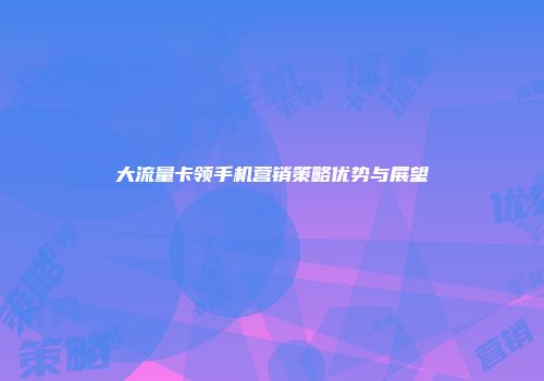 大流量卡领手机营销策略优势与展望