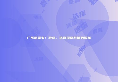 广东流量卡:特点、选择指南与优势解析