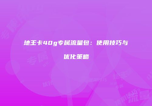 地王卡40g专属流量包：使用技巧与优化策略
