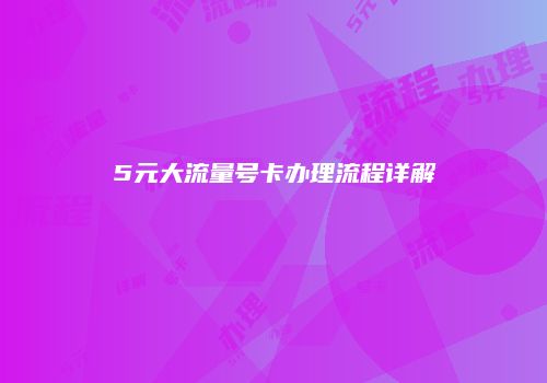 5元大流量号卡办理流程详解