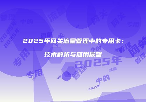 2025年网关流量管理中的专用卡：技术解析与应用展望
