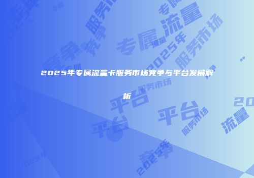 2025年专属流量卡服务市场竞争与平台发展解析