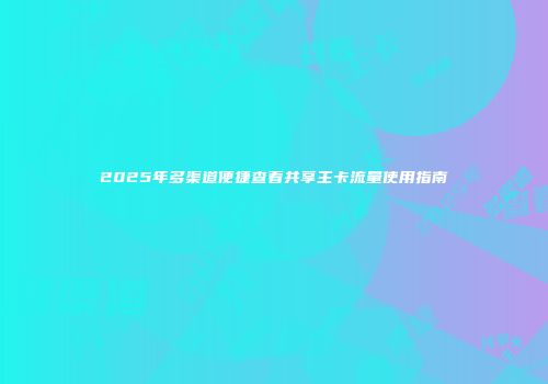 2025年多渠道便捷查看共享主卡流量使用指南