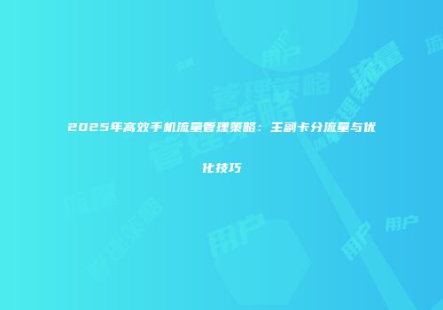 2025年高效手机流量管理策略：主副卡分流量与优化技巧