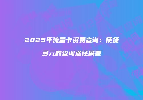 2025年流量卡资费查询：便捷多元的查询途径展望