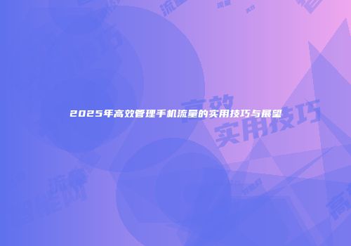 2025年高效管理手机流量的实用技巧与展望
