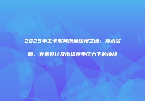 2025年王卡服务流量缓慢之谜：技术故障、套餐设计及市场竞争压力下的挑战