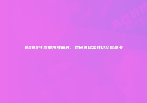 2025年流量挑战应对：如何选择高性价比流量卡