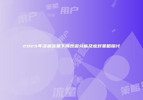 2025年凌晨流量下降原因分析及应对策略探讨