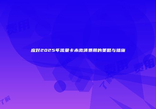 应对2025年流量卡未缴清费用的策略与措施
