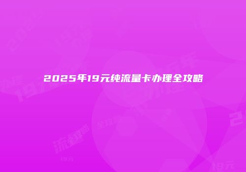 2025年19元纯流量卡办理全攻略