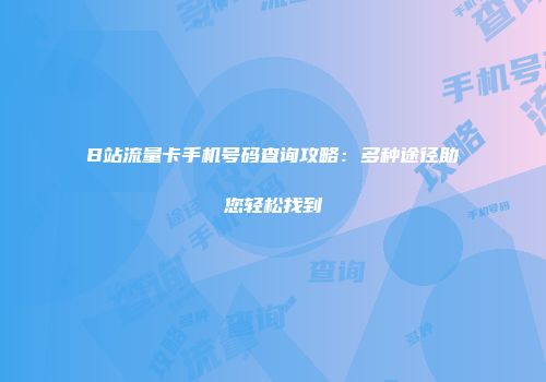B站流量卡手机号码查询攻略：多种途径助您轻松找到