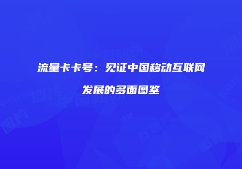 流量卡卡号：见证中国移动互联网发展的多面图鉴