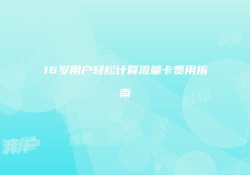 16岁用户轻松计算流量卡费用指南