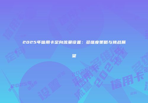 2025年信用卡定向流量设置：多维度策略与挑战展望