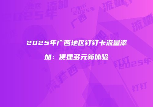 2025年广西地区钉钉卡流量添加：便捷多元新体验
