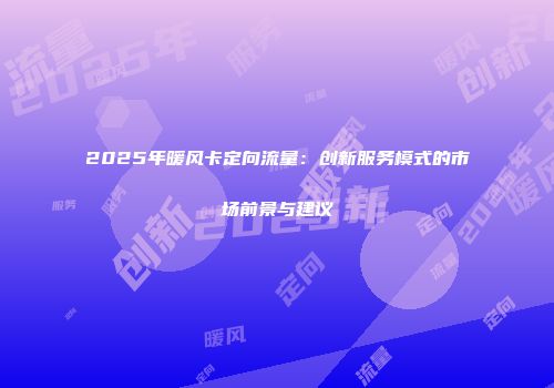 2025年暖风卡定向流量：创新服务模式的市场前景与建议
