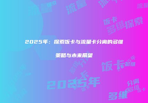 2025年:探索饭卡与流量卡分离的多维策略与未来展望