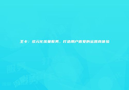 王卡:多元化流量服务,打造用户喜爱的运营商体验