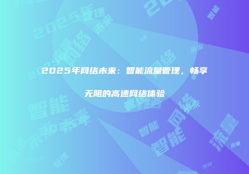 2025年网络未来：智能流量管理，畅享无阻的高速网络体验